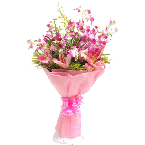Orchid beauty